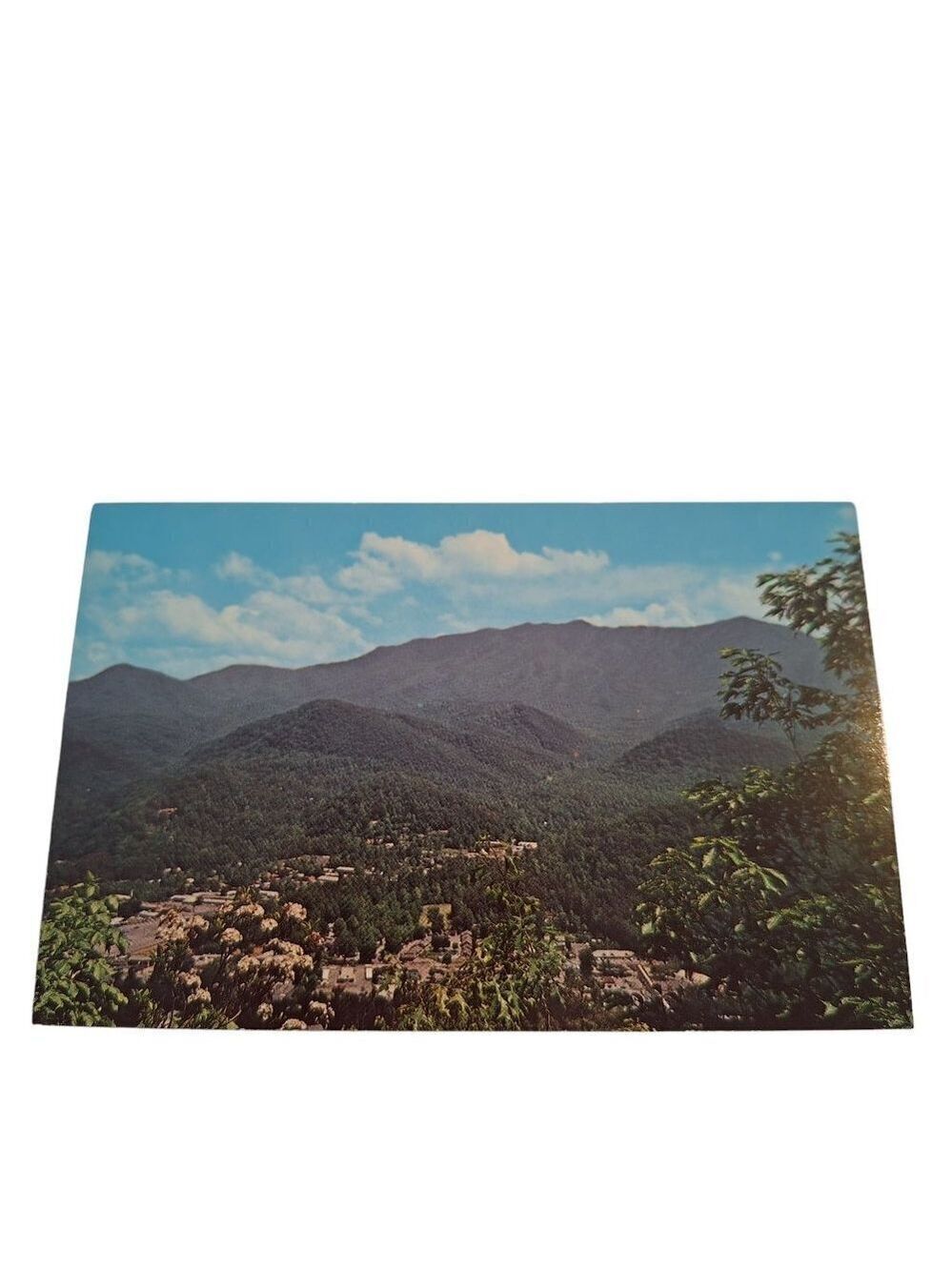 Gatlinburg Bypass Great Smoky Mountains National Park Postcard
